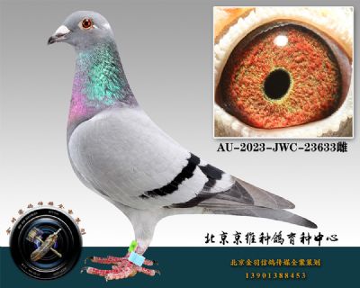 37-AU-2023-JWC-23633