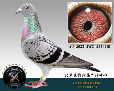 40-AU-2023-JWC-23594