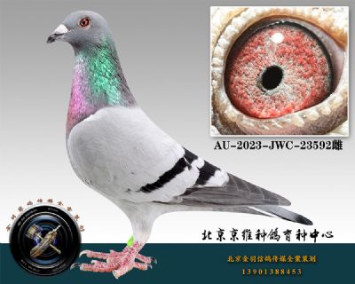 42-AU-2023-JWC-23592