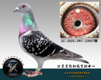 41-AU-2023-JWC-23637