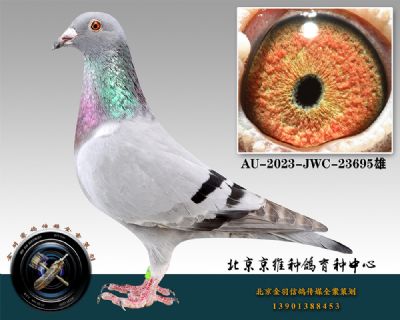 43-AU-2023-JWC-23695