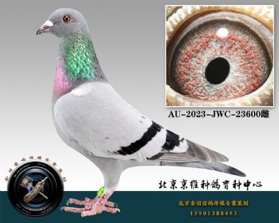 44-AU-2023-JWC-23600