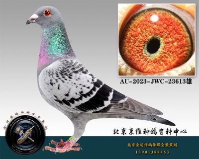 45-AU-2023-JWC-23613