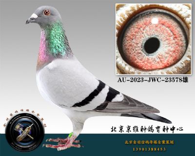 46-AU-2023-JWC-23578