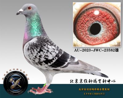 47-AU-2023-JWC-23582