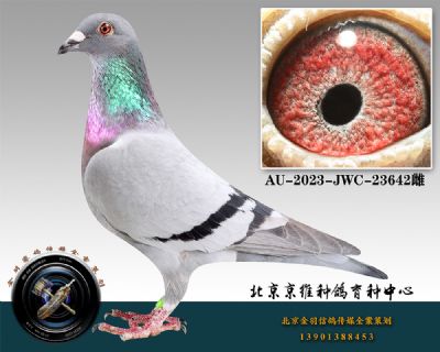 48-AU-2023-JWC-23642