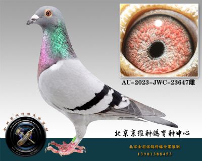 50-AU-2023-JWC-23647