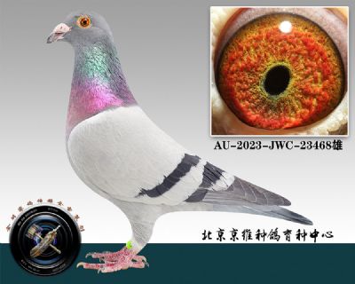 122-AU-2023-JWC-23468һ