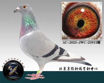 121-AU-2023-JWC-23915Ұƴ