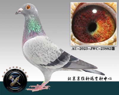 123-AU-2023-JWC-23882껨