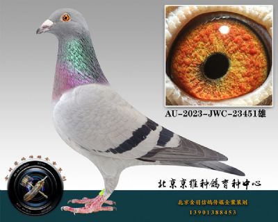 124-AU-2023-JWC-23451һ