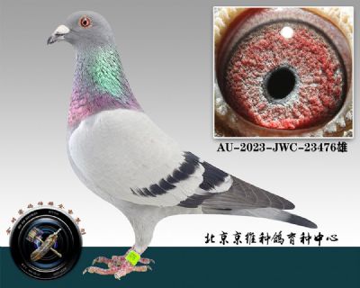 127-AU-2023-JWC-23476ɰ