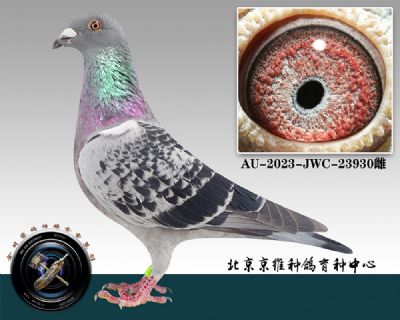 128-AU-2023-JWC-23930ɰ