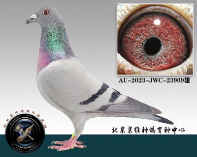 130-AU-2023-JWC-23909ɰ