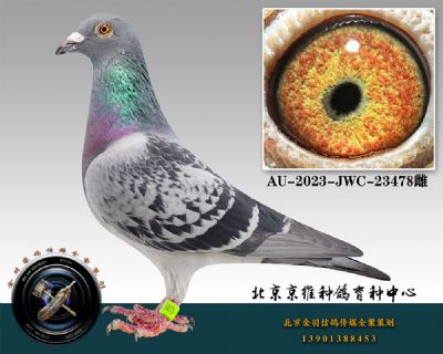 131-AU-2023-JWC-23478ƴ