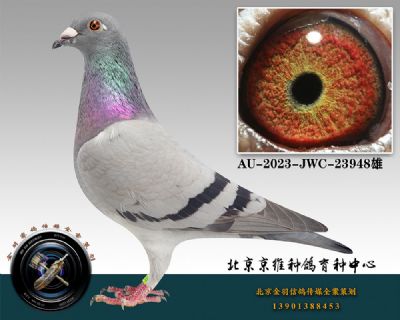 133-AU-2023-JWC-23948һ