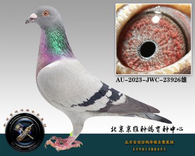 134-AU-2023-JWC-23926ɰ