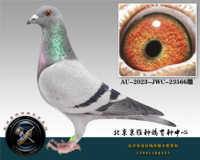 51-AU-2023-JWC-23566