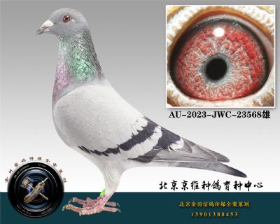 52-AU-2023-JWC-23568