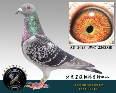 54-AU-2023-JWC-23638