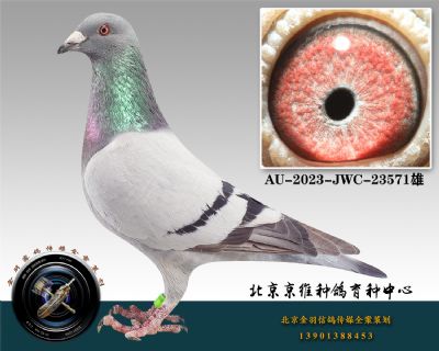 57-AU-2023-JWC-23571