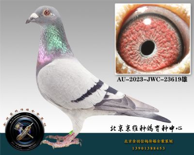 58-AU-2023-JWC-23619