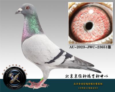 59-AU-2023-JWC-23651