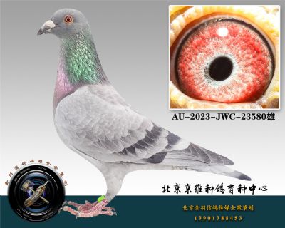 61-AU-2023-JWC-23580