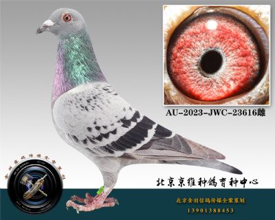 63-AU-2023-JWC-23616