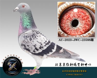 64-AU-2023-JWC-23588