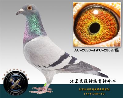 65-AU-2023-JWC-23627