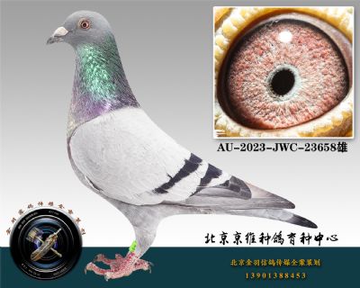 67-AU-2023-JWC-23658