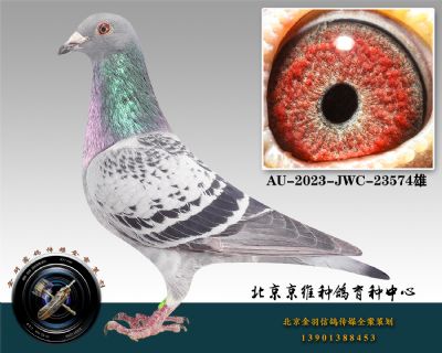 68-AU-2023-JWC-23574