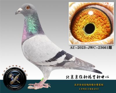 69-AU-2023-JWC-23661