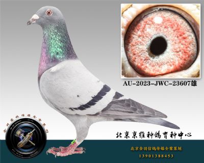 70-AU-2023-JWC-23607