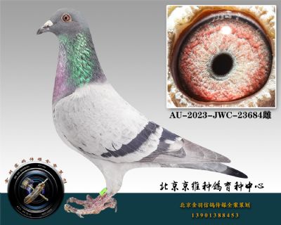 71-AU-2023-JWC-23684