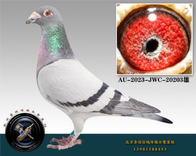 72-AU-2023-JWC-20203