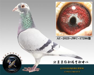 73-AU-2023-JWC-17286