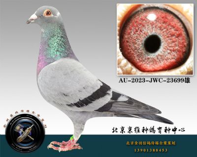 152-AU-2023-JWC-23699