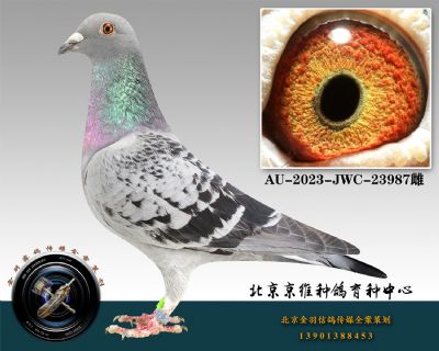 153-AU-2023-JWC-23987