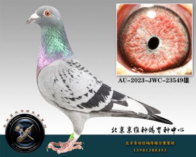 155-AU-2023-JWC-23549