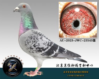 157-AU-2023-JWC-23543