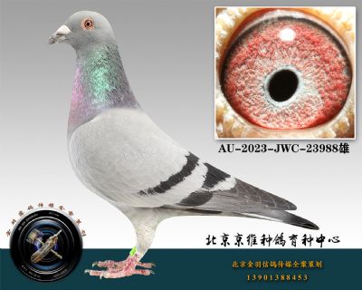 159-AU-2023-JWC-23988