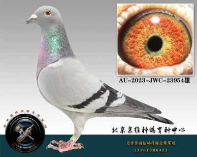 160-AU-2023-JWC-23954