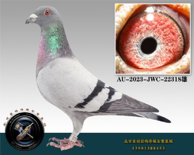 76-AU-2023-JWC-22318