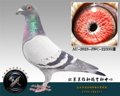 79-AU-2023-JWC-22335