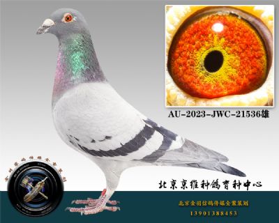 78-AU-2023-JWC-21536