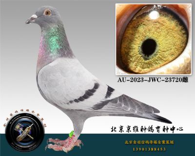 80-AU-2023-JWC-23720