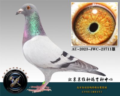 84-AU-2023-JWC-23711