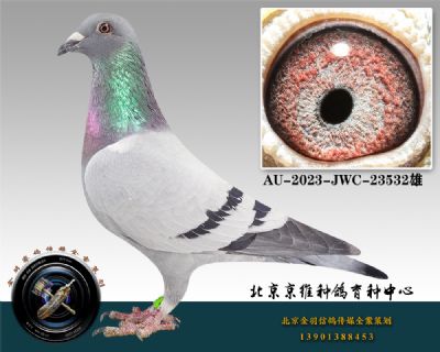 86-AU-2023-JWC-23532